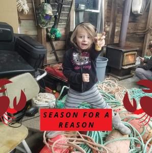 Meet your Posher, Alice